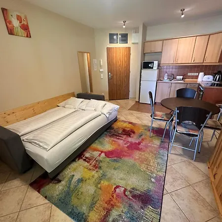 Palazzo Deluxe 아파트 *